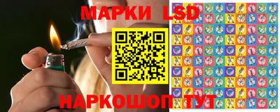 mdpv Бийск