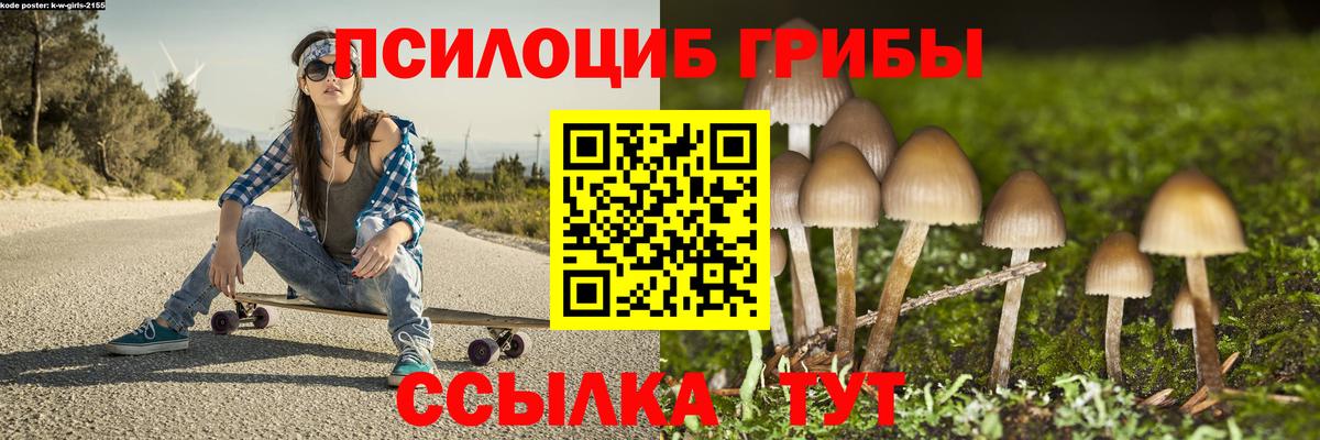 Галлюциногенные грибы Magic Shrooms  Галлюциногенные грибы прущие грибы  Кизляр  Вход с VPN 